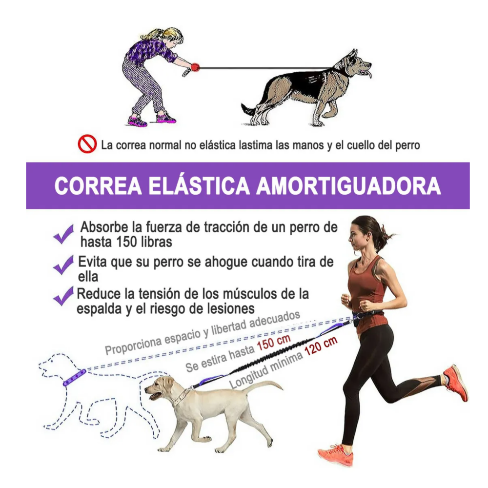 Foto 4 pulgar | Riñonera+correa Para Perro Manos Libres Para Caminar +correr Lab.g,  Negro Morado