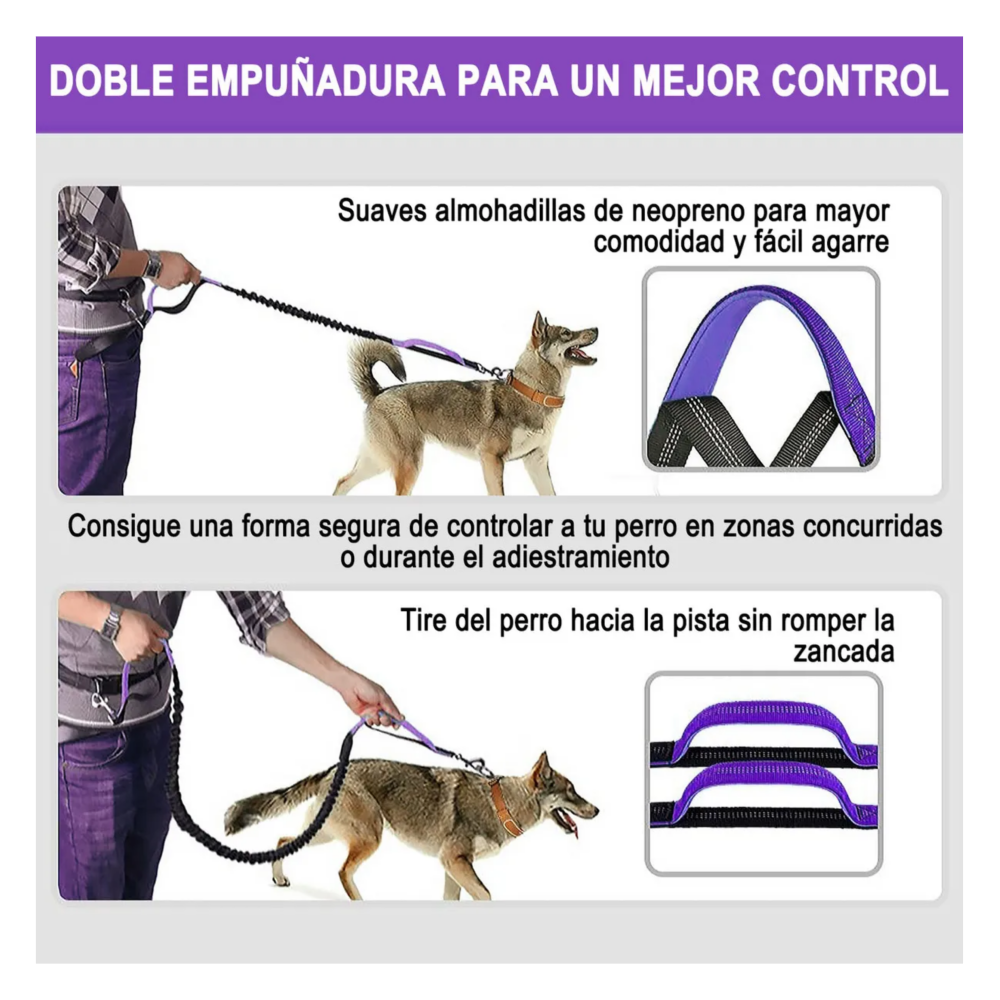 Foto 6 pulgar | Riñonera+correa Para Perro Manos Libres Para Caminar +correr Lab.g,  Negro Morado