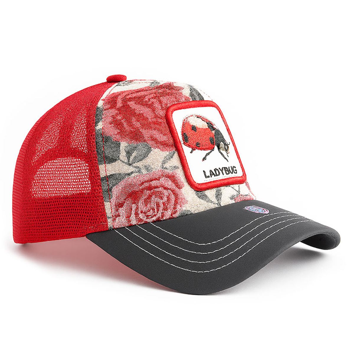 Foto 2 pulgar | Gorra Knite Ladybug Cachucha Mujer Visera Tornasol
