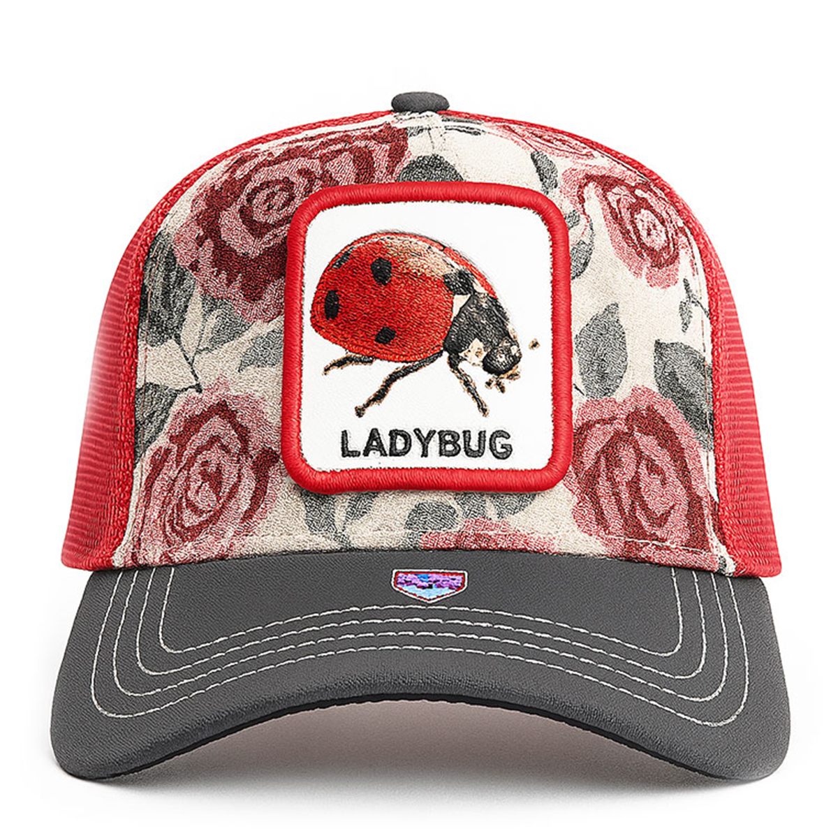 Foto 3 pulgar | Gorra Knite Ladybug Cachucha Mujer Visera Tornasol