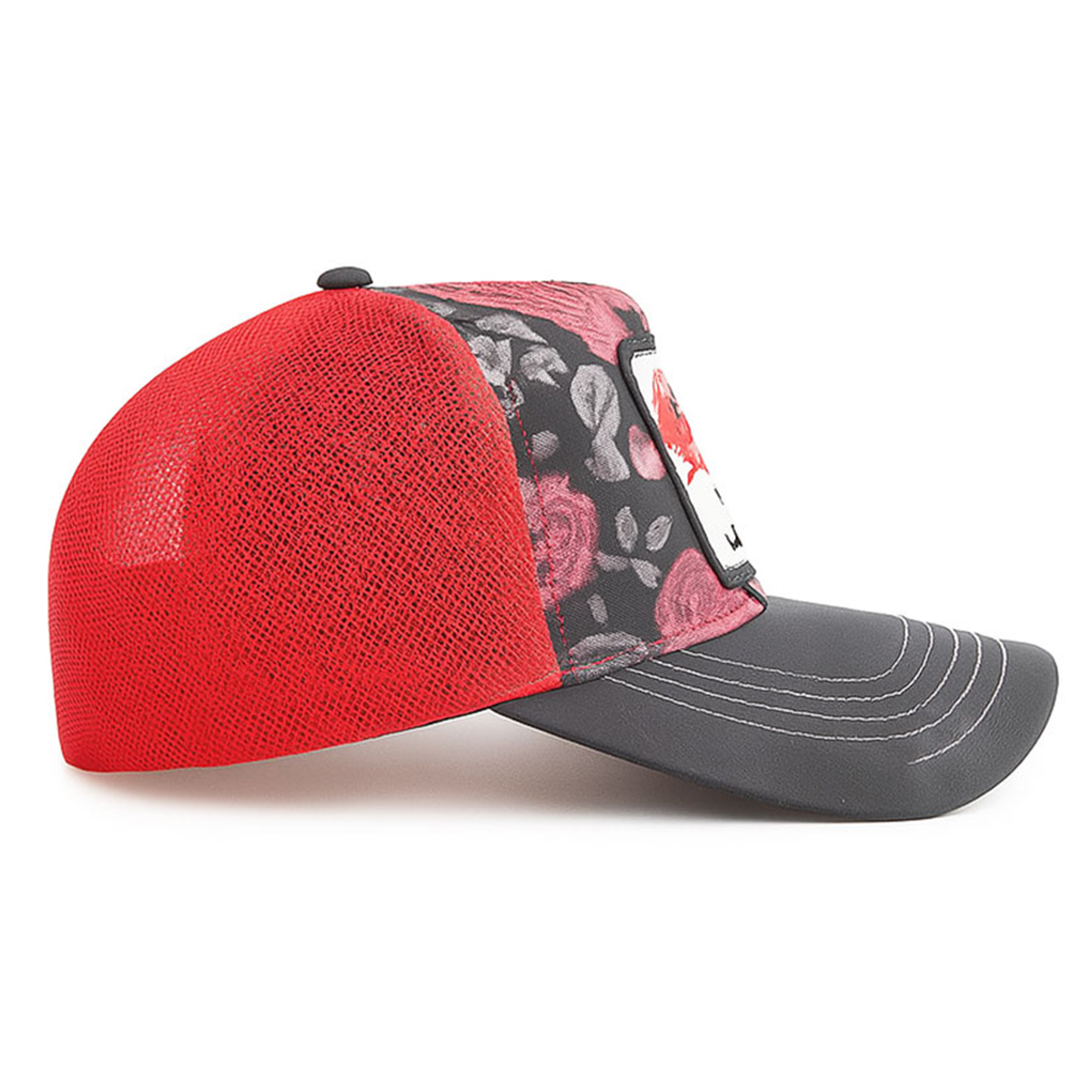Foto 4 pulgar | Gorra Knite Ladybug Cachucha Mujer Visera Tornasol