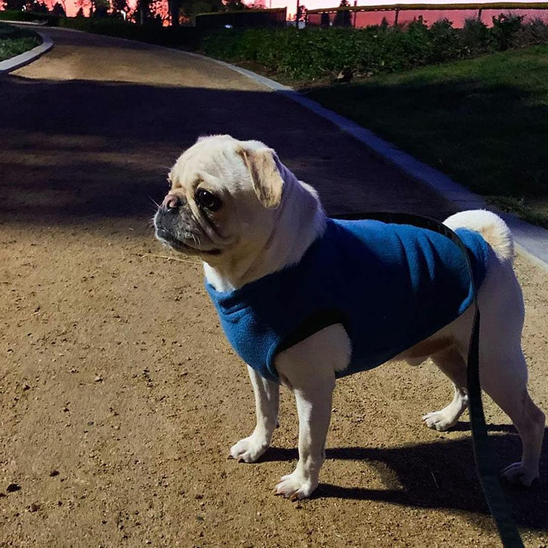 Foto 6 | Chaleco Polar Elástico Gooby Para Perros, Color Azul Índigo, Tamaño Mediano - Venta Internacional.