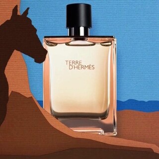 Foto 5 | Loción para Después del Afeitado Hermes Terre D'Hermes 100 ml - Venta Internacional