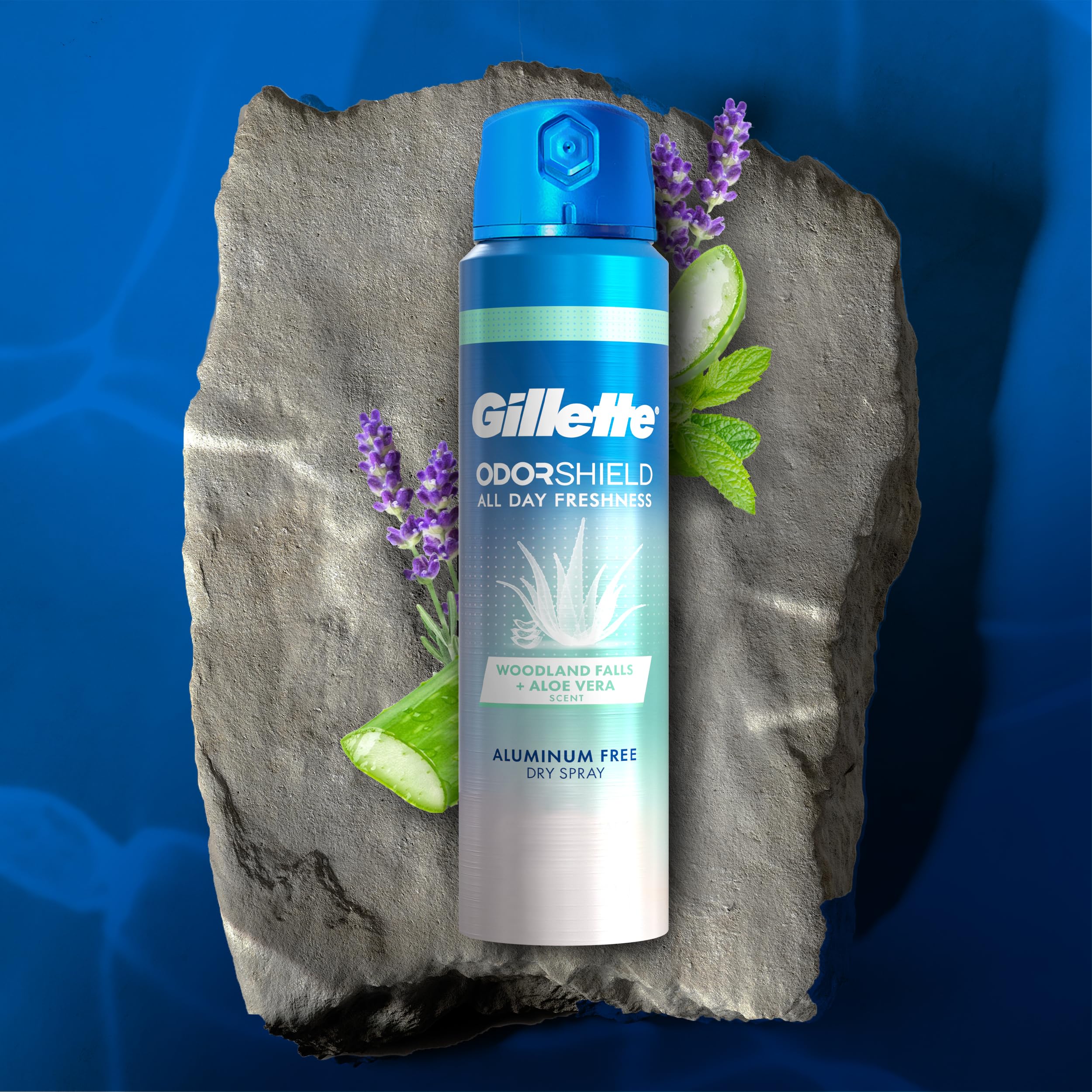 Foto 8 pulgar | Desodorante Gillette En Aerosol Seco Sin Aluminio Woodland 125 Ml X 3 - Venta Internacional.