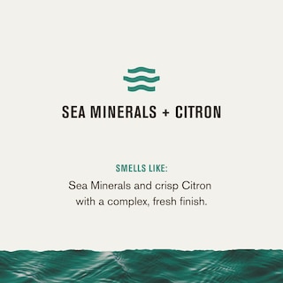 Foto 4 | Desodorante Every Man Jack Sea Minerals + Citron 90 Ml (paquete De 2) - Venta Internacional.