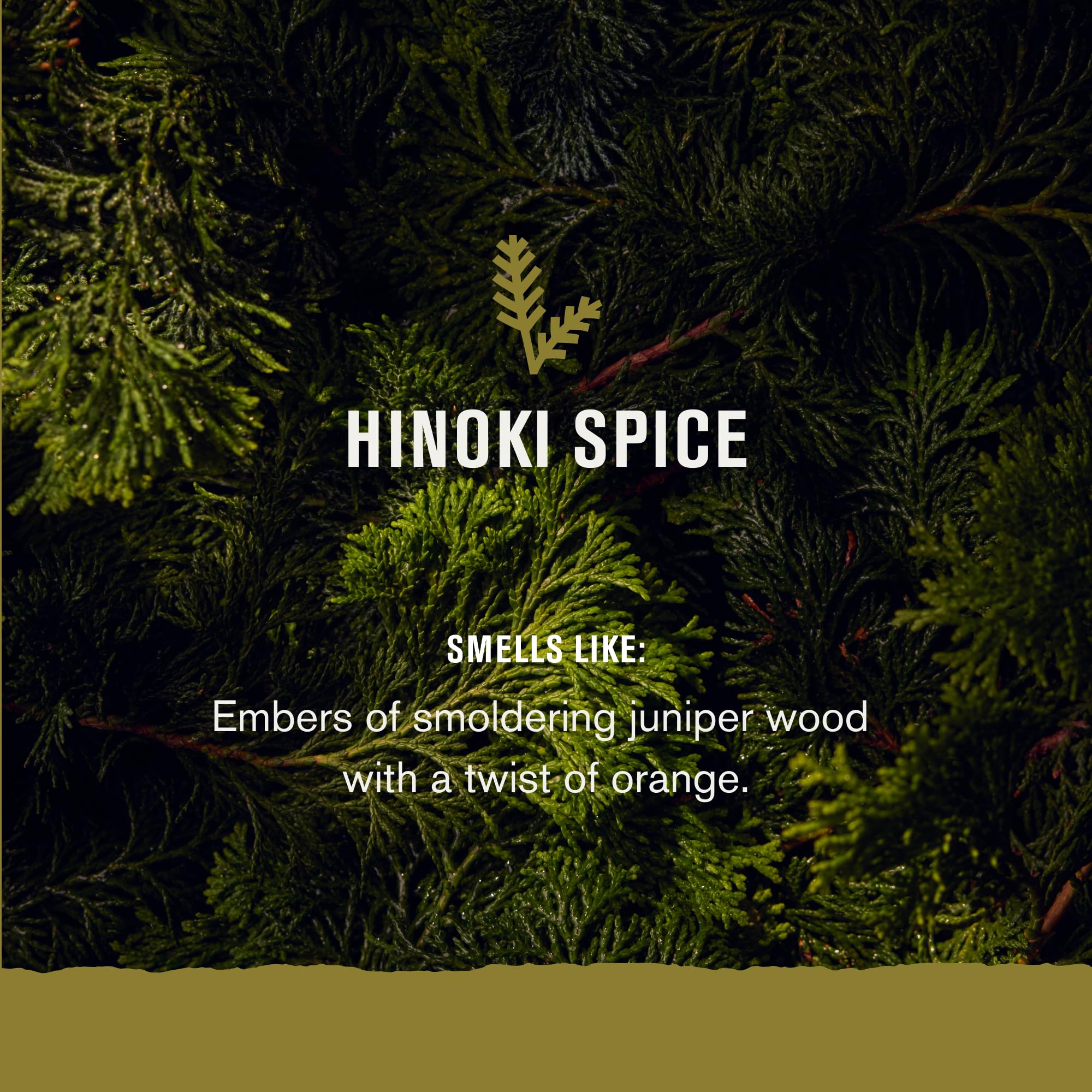 Foto 4 | Set Para Barba Every Man Jack, Lote Pequeño, Fragancia Hinoki Spice - Venta Internacional.