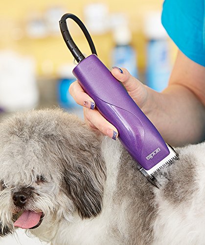 Foto 5 pulgar | Kit Clipper Andis Easyclip Pro-animal Purple Mbg-2 Para Perros - Venta Internacional.