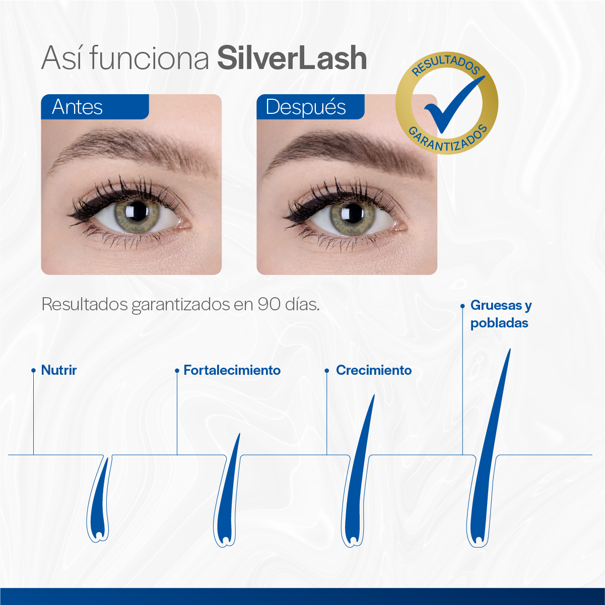 Foto 4 pulgar | Serum de Crecimiento para Cejas Silver Lash 7g