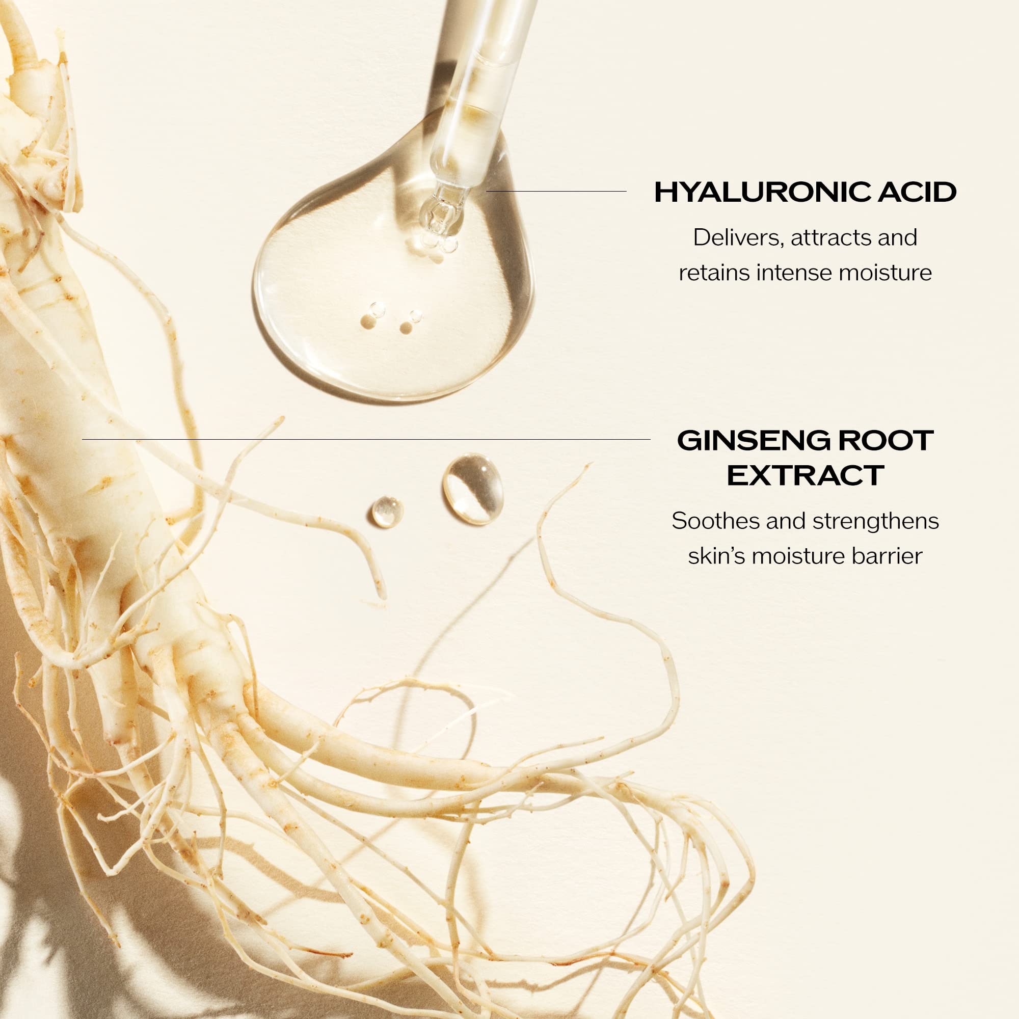 Foto 5 pulgar | Crema Hidratante Shiseido Essential Energy Hydrating 50 Ml - Venta Internacional.