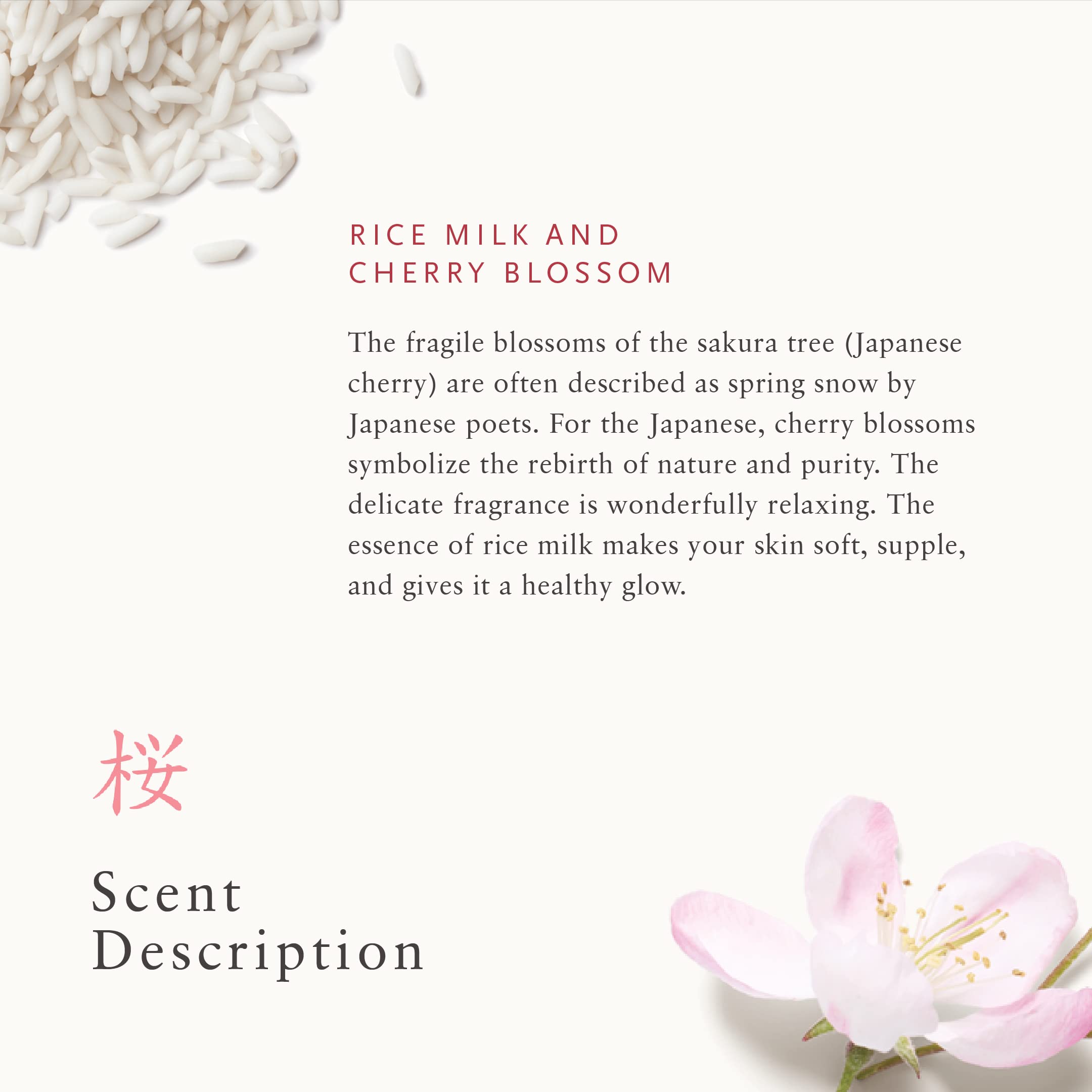 Foto 6 pulgar | Exfoliante Corporal Rituals The Ritual Of Sakura 260 Ml Unisex - Venta Internacional.