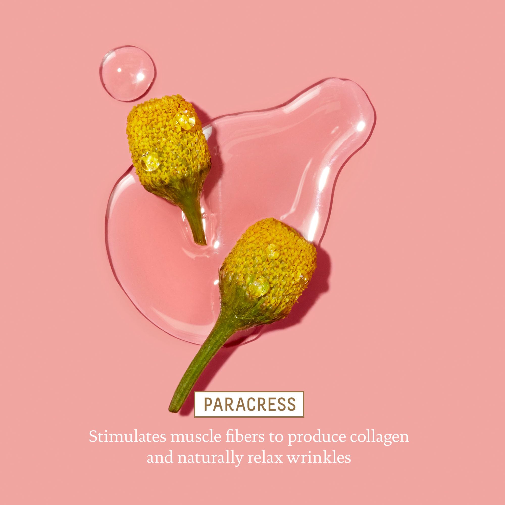 Foto 8 pulgar | Crema De Ojos Biossance Con Escualano Y Algas Marinas 15 Ml - Venta Internacional.