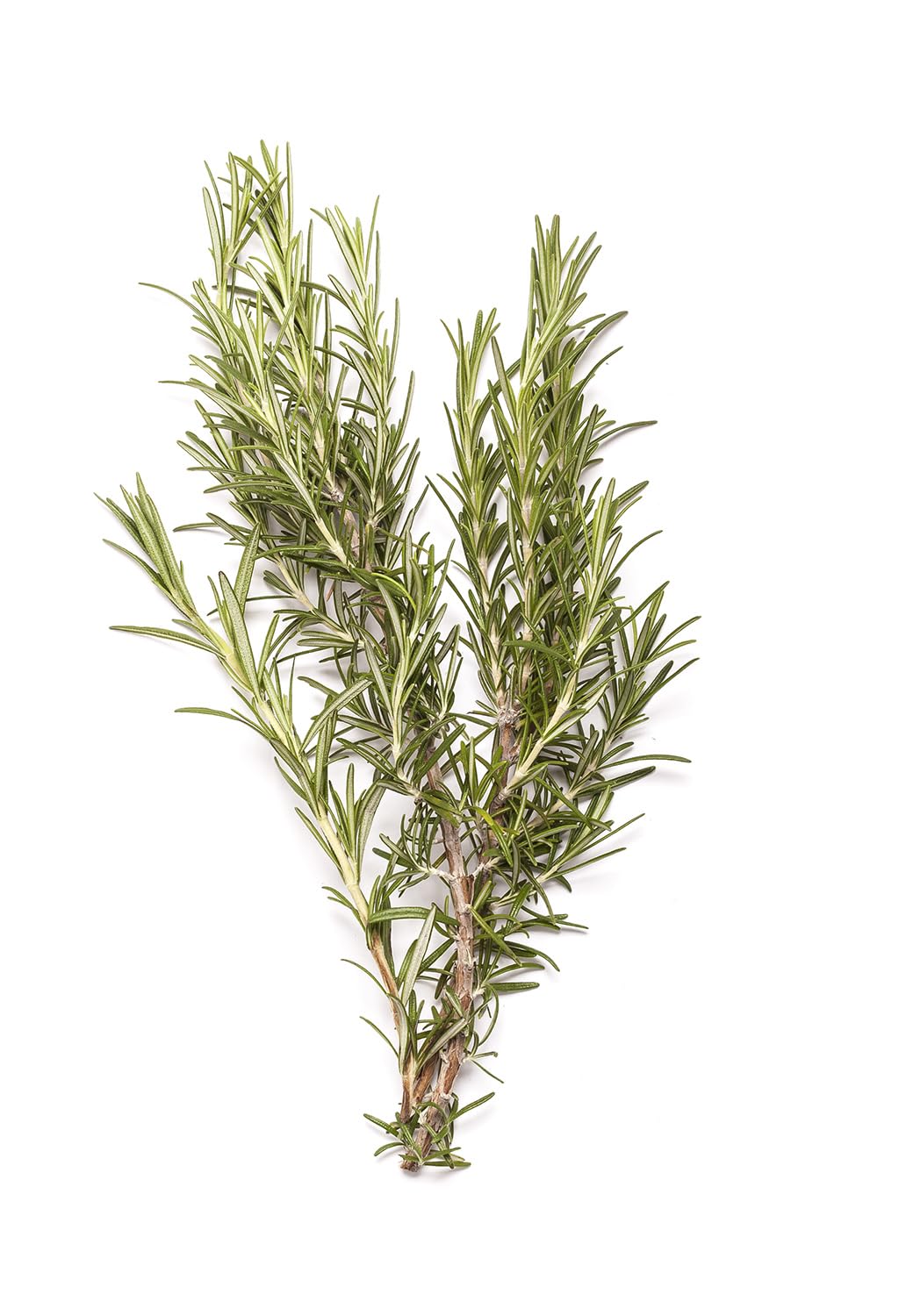 Foto 4 pulgar | Loción Corporal Bondi Wash Sydney Peppermint & Rosemary 250 Ml - Venta Internacional.