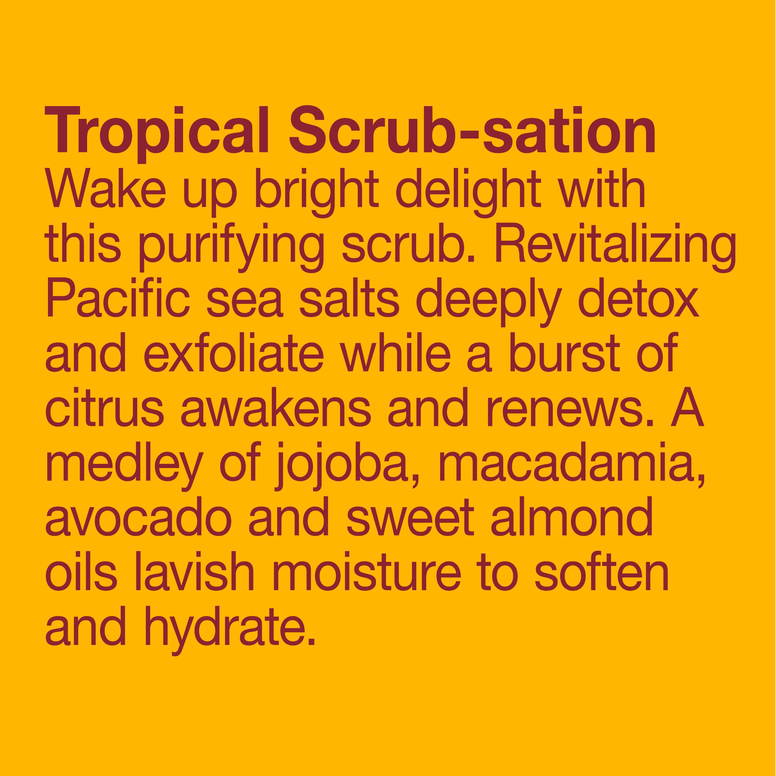 Foto 4 pulgar | Exfoliante Corporal Alba Botanica Hawaiian Revitalizante Con Sal Marina, 430 Ml - Venta Internacional.