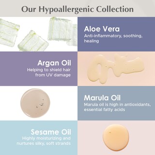 Foto 4 | Champú, Acondicionador Y Exfoliante Travel Set Theorie Pure Collection - Venta Internacional.