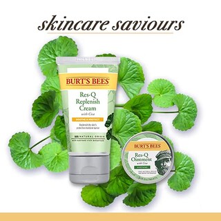 Foto 4 | Ungüento Burt's Bees Res-q 100% De Origen Natural Con Cica 15 G - Venta Internacional.