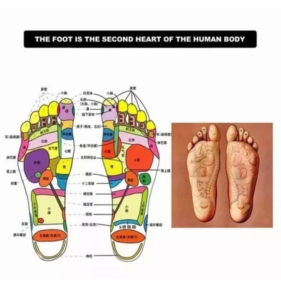 Foto 3 pulgar | Masajeador De Pies Eléctrico Para Relajación Muscular Cuadrada - Venta Internacional.