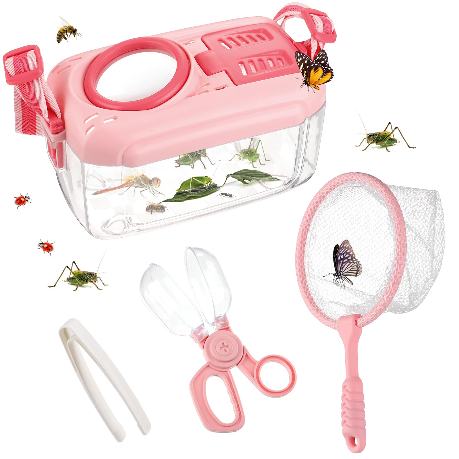 Kit De Captura De Insectos Biubee, Kit De Captura De Insectos Con Red Para Mariposas, Color Rosa - Venta Internacional.
