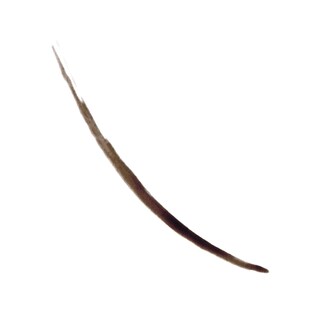 Foto 2 | Tinta Para Cejas Revlon Colorstay 5 En 1 355 Marrón Oscuro A Prueba De Agua - Venta Internacional.