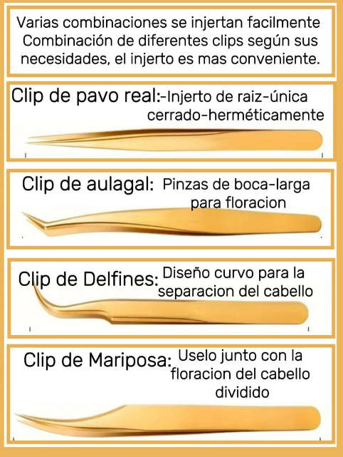 Foto 4 pulgar | Kit Xtellar 4 Pinzas Con Estuche, Acero Inoxidable