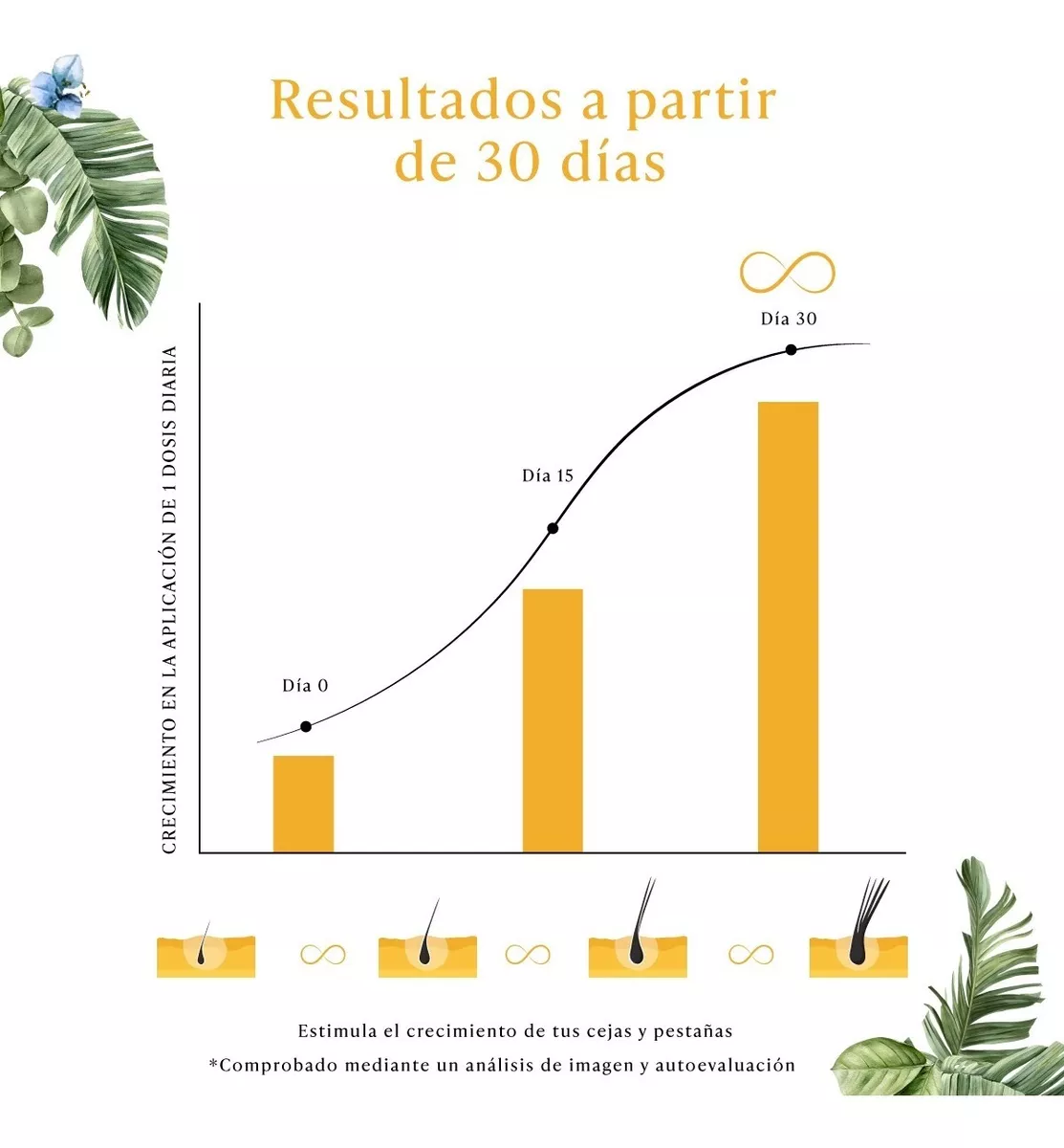 Foto 6 pulgar | Crecimiento Pestañas y Cejas Infinitlash Serum Biotina Keratina, Vitamina E Aceite De Ricino y Hueso de Mamey Brows Se