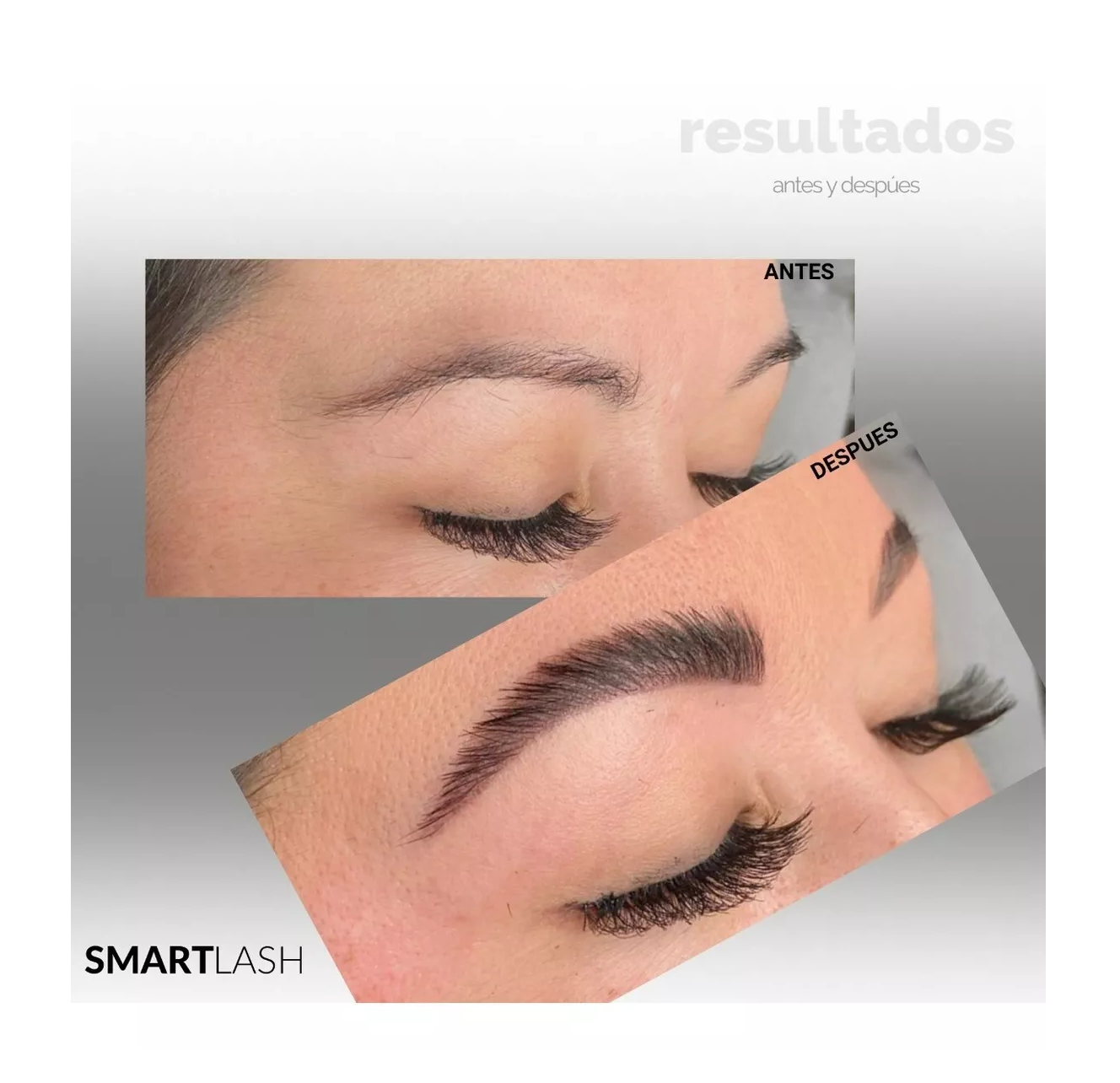 Foto 4 pulgar | Kit Planchado de Ceja SMARTLASH más Lash Lifting más 2 Pigmentos 42 Piezas