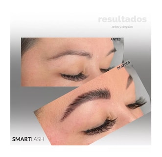 Foto 3 | Kit Planchado de Ceja SMARTLASH más Lash Lifting más 2 Pigmentos 42 Piezas