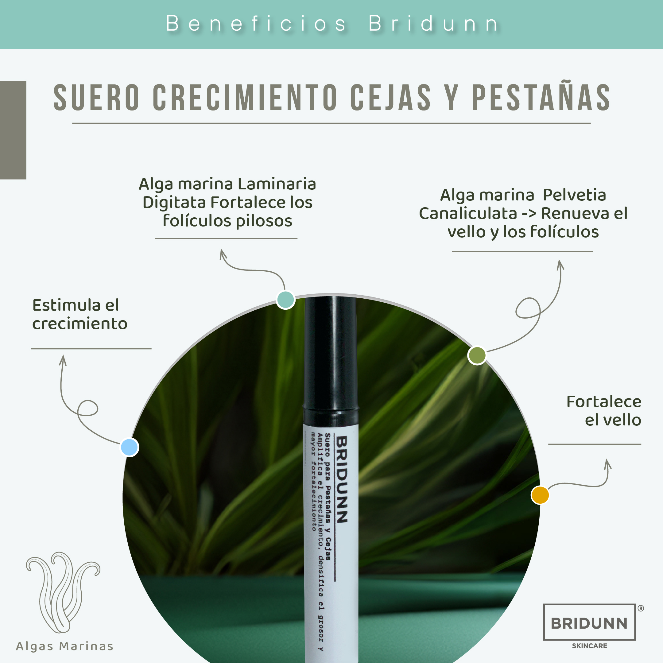 Foto 3 pulgar | Suero de Crecimiento y Fortalecimiento de Pestañas y Cejas Bridunn Skincare