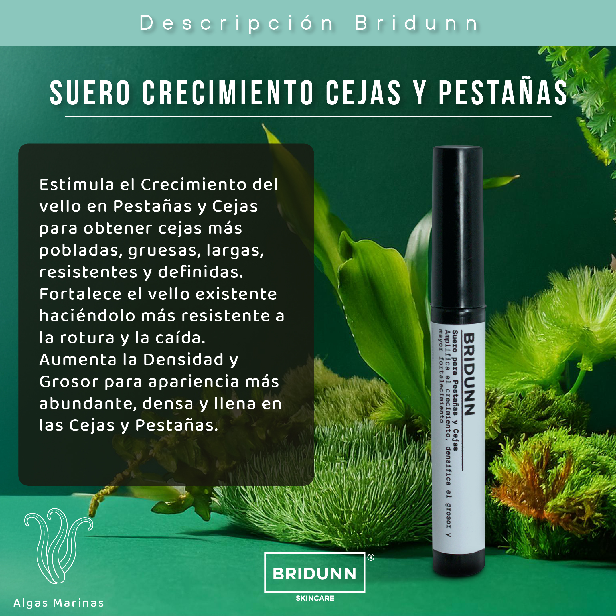 Foto 5 pulgar | Suero de Crecimiento y Fortalecimiento de Pestañas y Cejas Bridunn Skincare