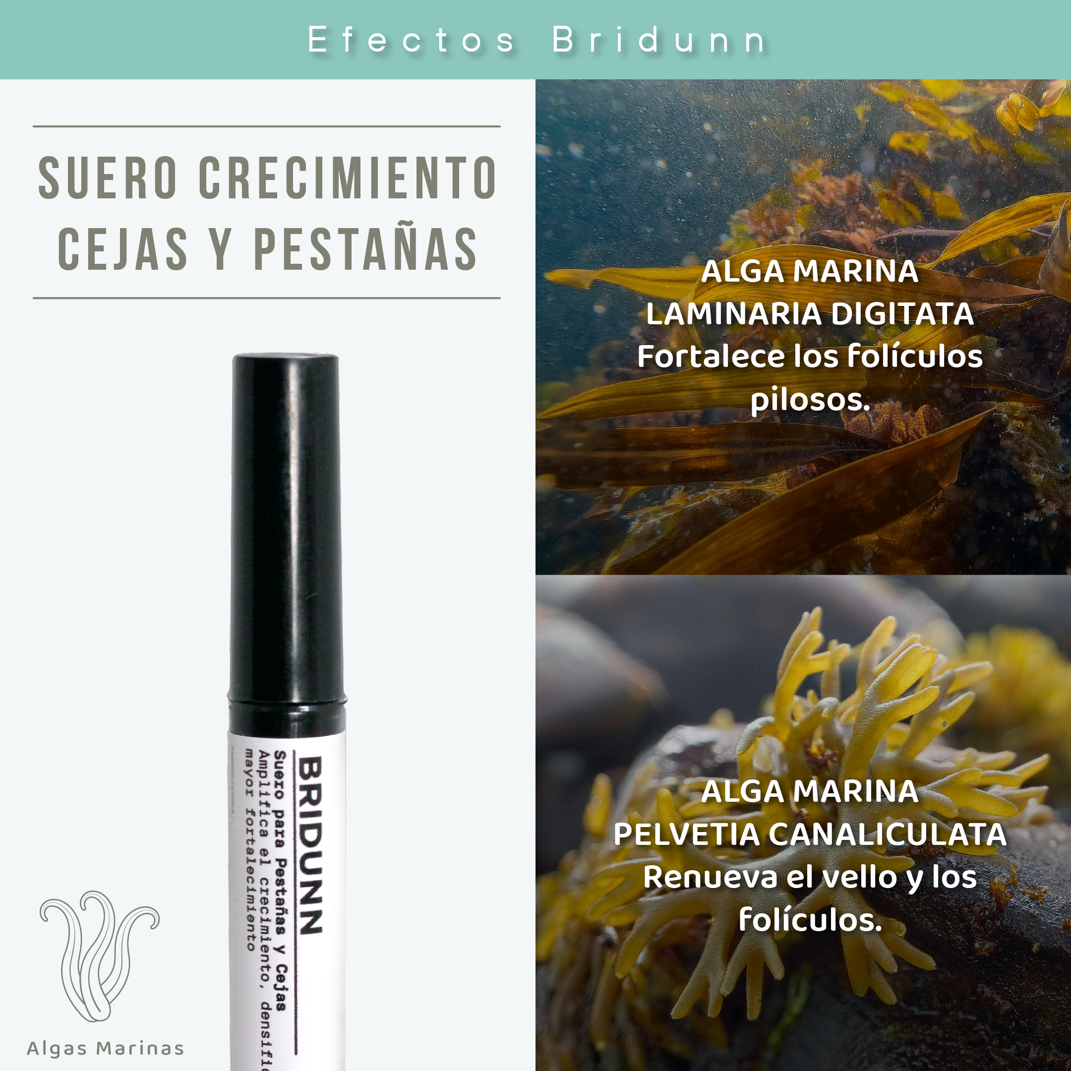 Foto 8 pulgar | Suero de Crecimiento y Fortalecimiento de Pestañas y Cejas Bridunn Skincare