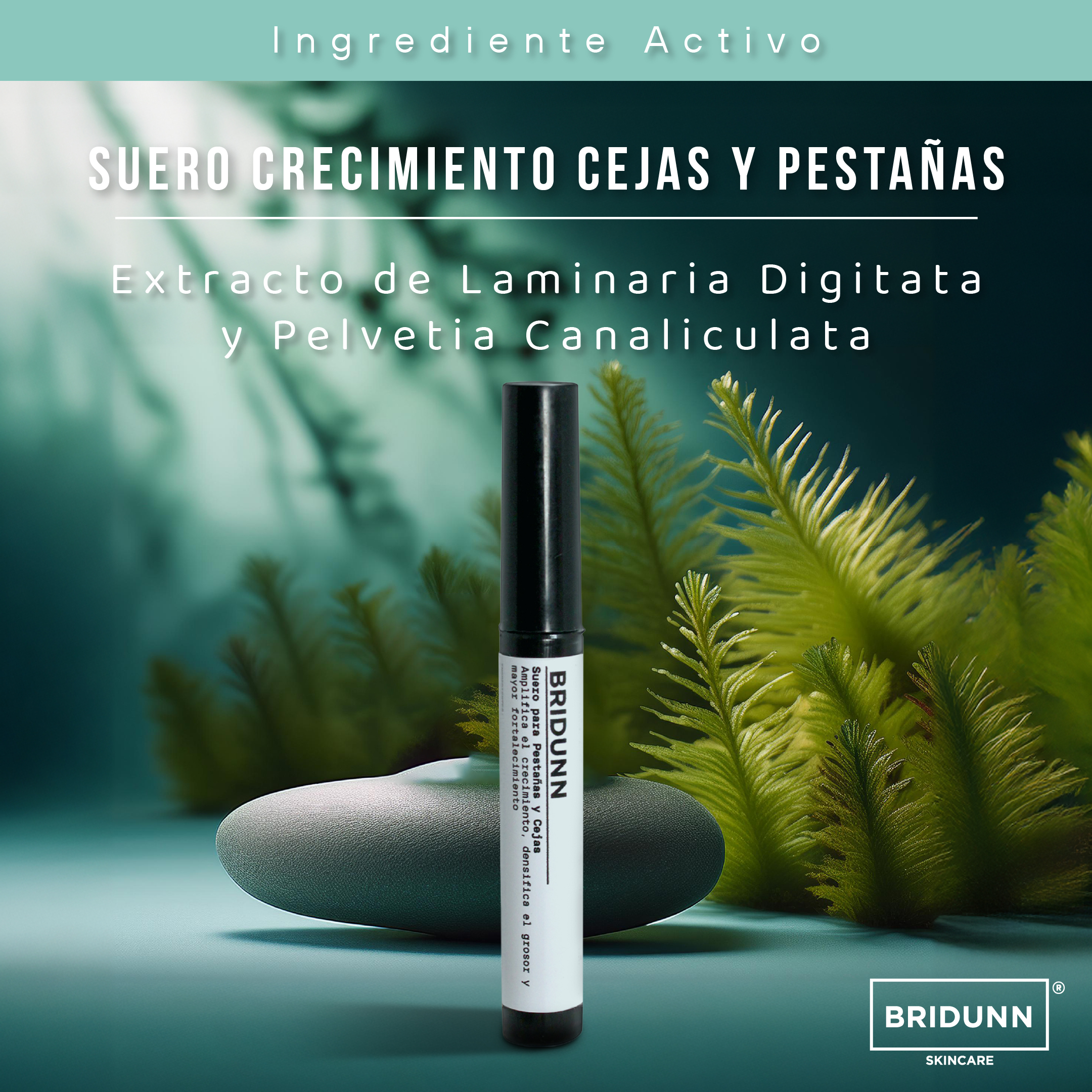 Foto 9 pulgar | Suero de Crecimiento y Fortalecimiento de Pestañas y Cejas Bridunn Skincare