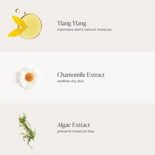 Foto 5 | Spray Hidratante Jane Iredale D20 Mini 12 Ml - Venta Internacional.