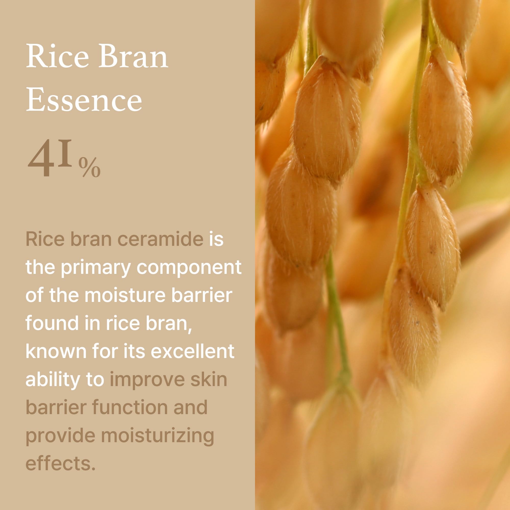 Foto 6 | Crema I'm From Rice, 50 Ml, Con 41% De Ceramida Con Esencia De Salvado De Arroz - Venta Internacional.