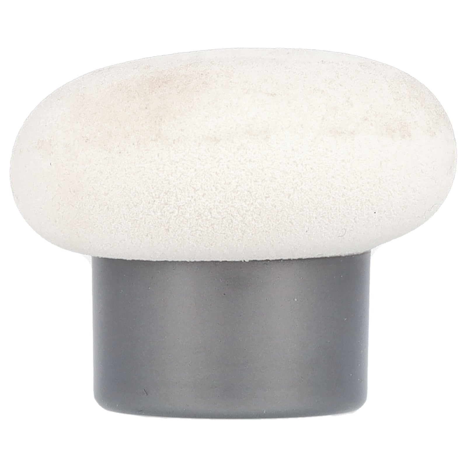 Foto 4 | Polvo Suelto Physicians Formula Mineral Wear Pf10949 12 G - Venta Internacional.