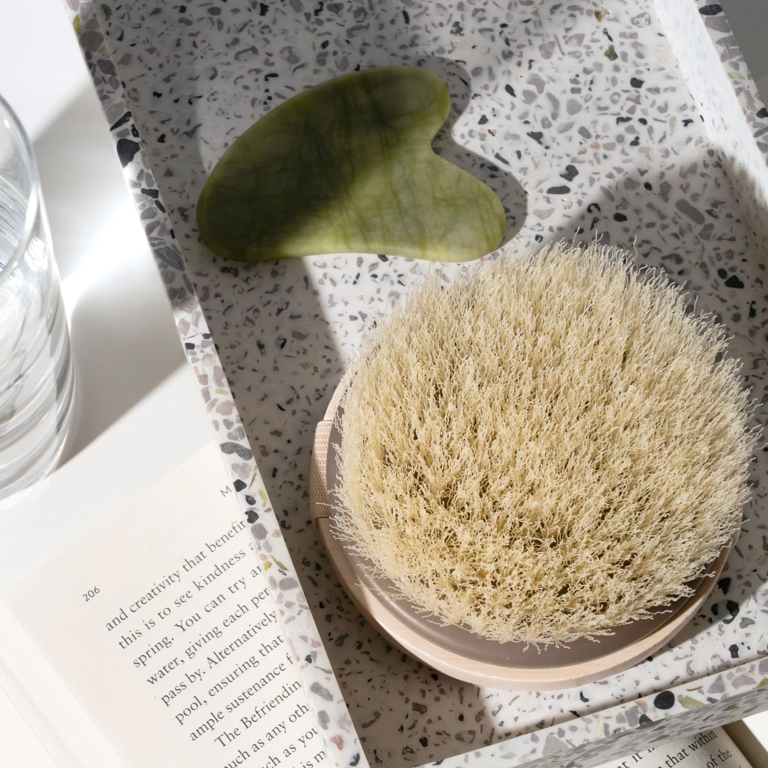 Foto 7 | Cepillo Exfoliante Ecotools Dry Body Brush - Venta Internacional.
