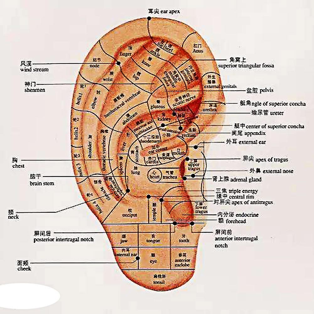 Foto 4 pulgar | Parche De Terapia Magnética Para Auriculares Aurales Multicolor, 300 Unidades - Venta Internacional.