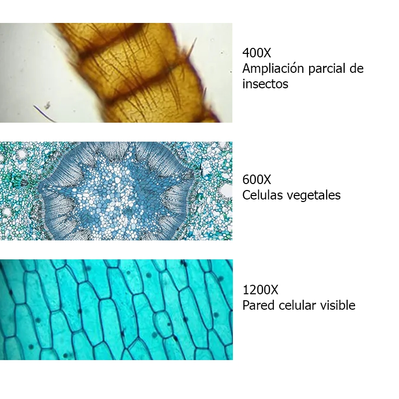 Foto 4 pulgar | Kit De Accesorios Para Microscopios, Mazo De Plástico De 1200 Unidades - Venta Internacional.