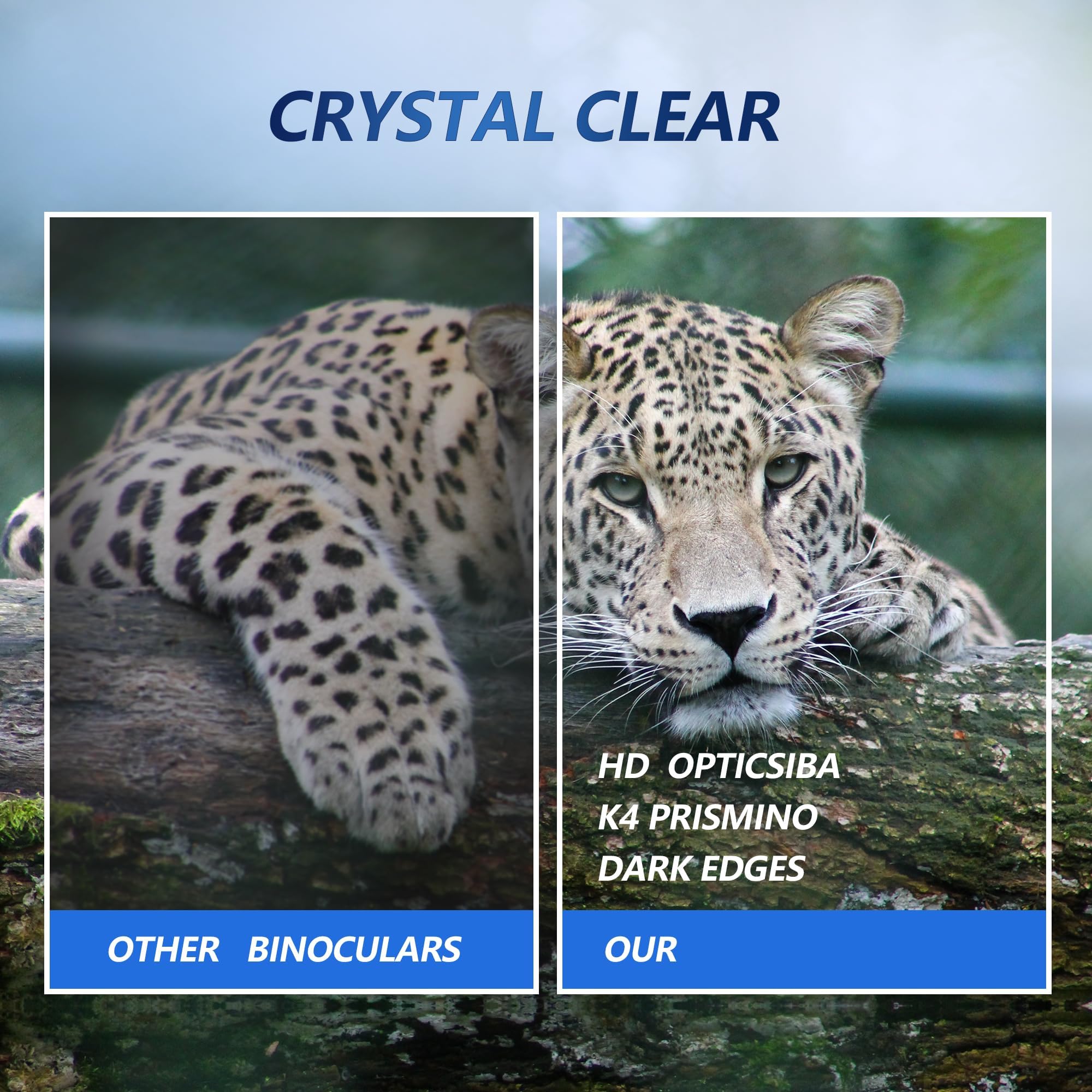 Foto 3 | Binoculares, Cámara Para Exteriores, Zoom De 10 Aumentos, 40 Mp, Vídeo Hd, Color Negro - Venta Internacional.