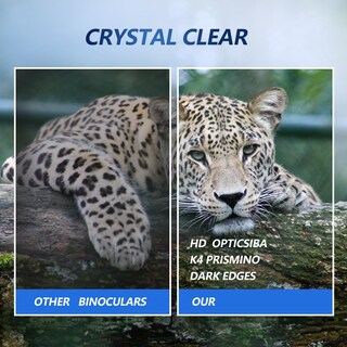 Foto 3 | Binoculares, Cámara Para Exteriores, Zoom De 10 Aumentos, 40 Mp, Vídeo Hd, Color Negro - Venta Internacional.