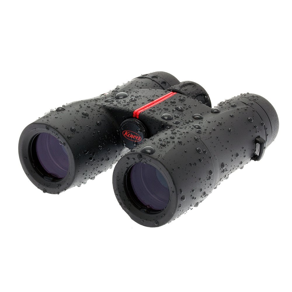 Foto 4 pulgar | Prismáticos De Techo Kowa Sv Series De 10 X 32 Pulgadas, Impermeables, Color Negro - Venta Internacional.