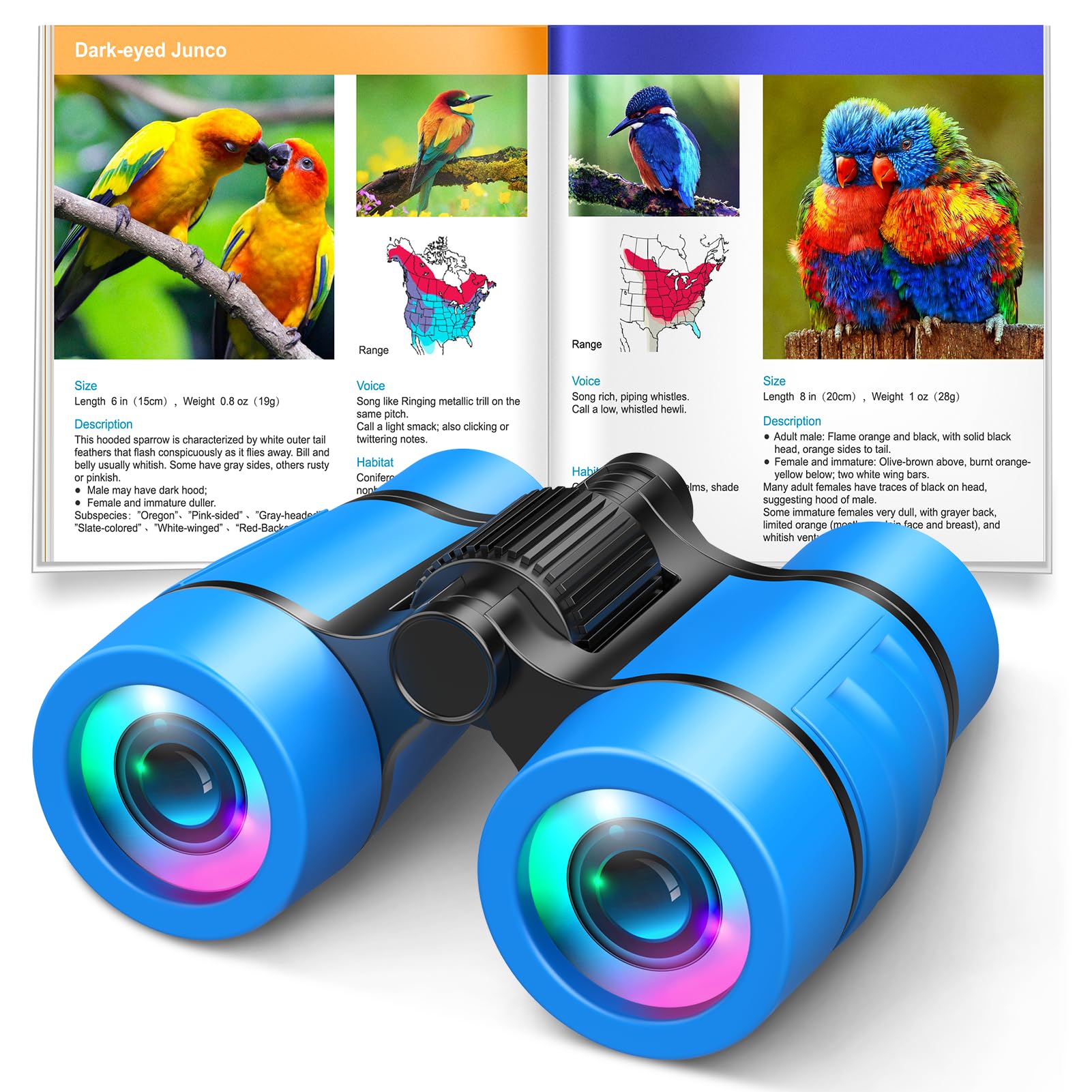 Foto 2 pulgar | Binoculares ¡vamos! Para Niños De 4 A 7 Años Con Manual De Observación De Aves - Venta Internacional.