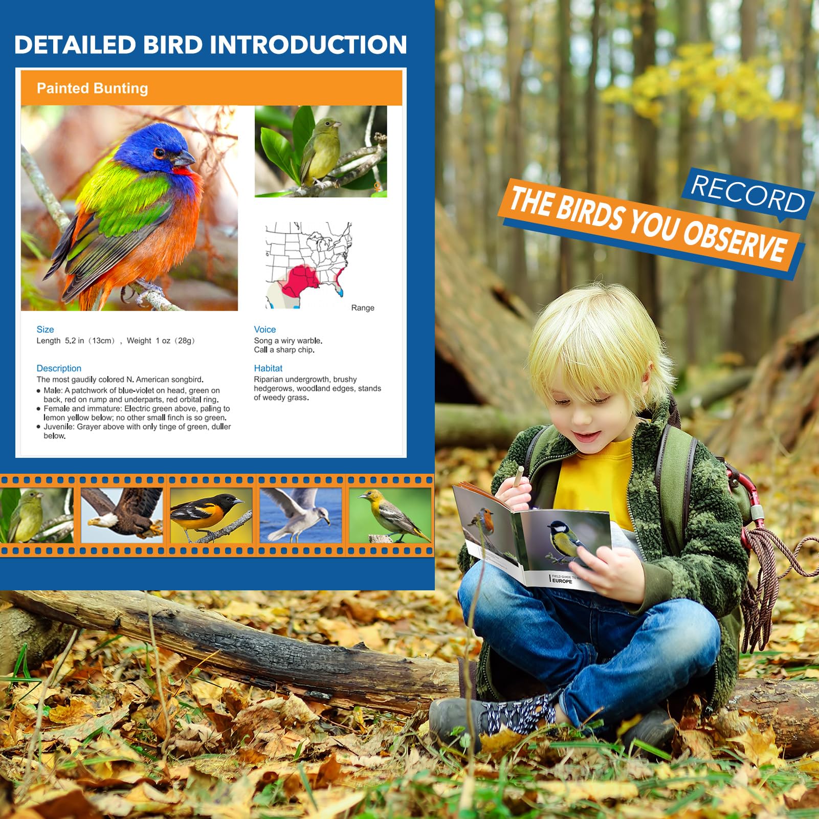 Foto 4 | Binoculares ¡vamos! Para Niños De 4 A 7 Años Con Manual De Observación De Aves - Venta Internacional.