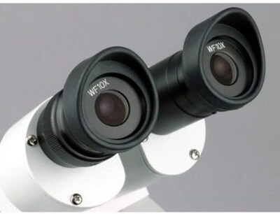 Foto 5 | Microscopio Estéreo Binocular Delantero Amscope Se305r-pz - Venta Internacional.