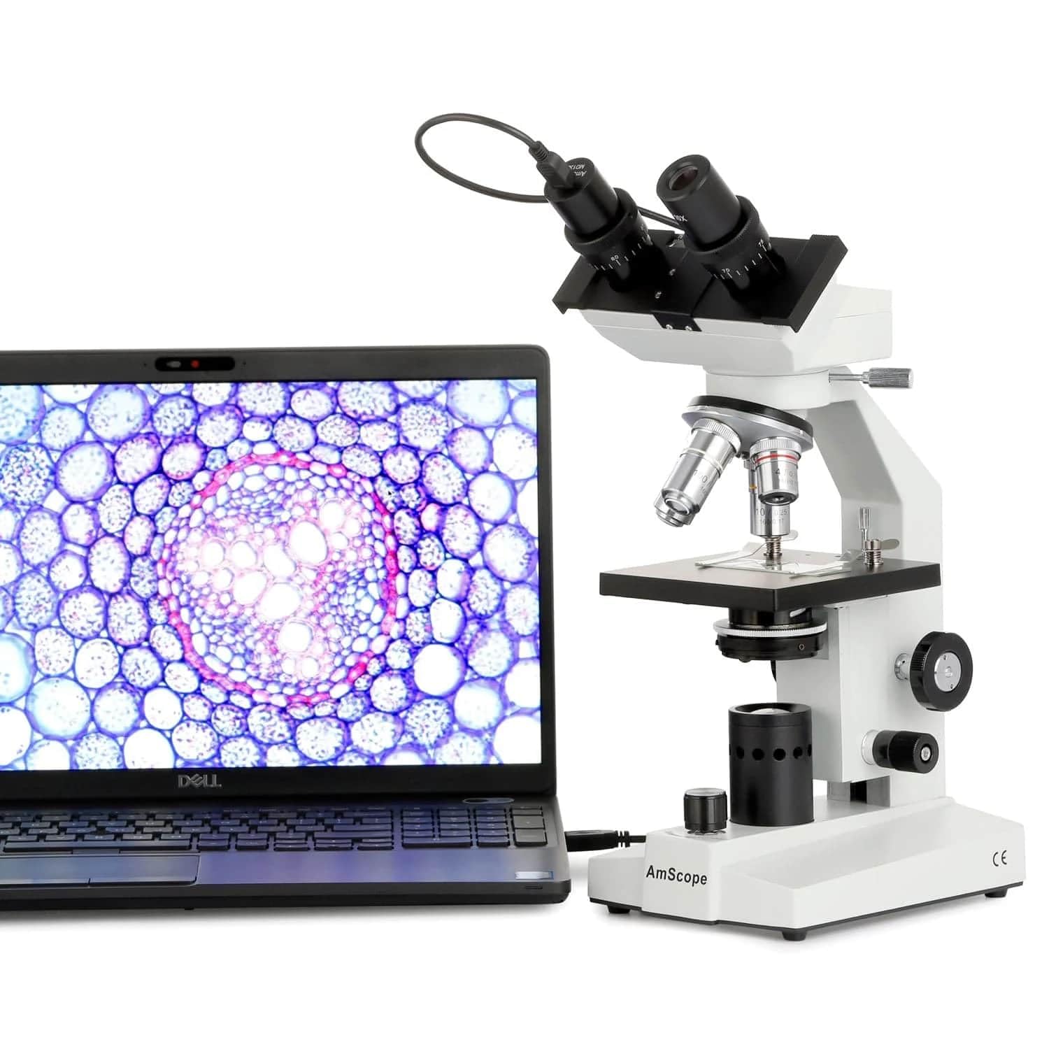 Foto 5 pulgar | Microscopio Binocular Compuesto Amscope B100-led 40x-1000x - Venta Internacional.