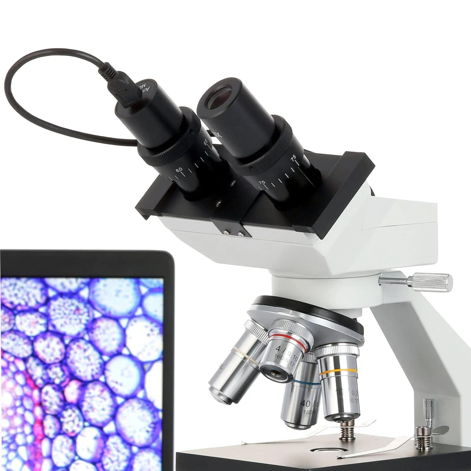 Foto 7 pulgar | Microscopio Binocular Compuesto Amscope B100-led 40x-1000x - Venta Internacional.