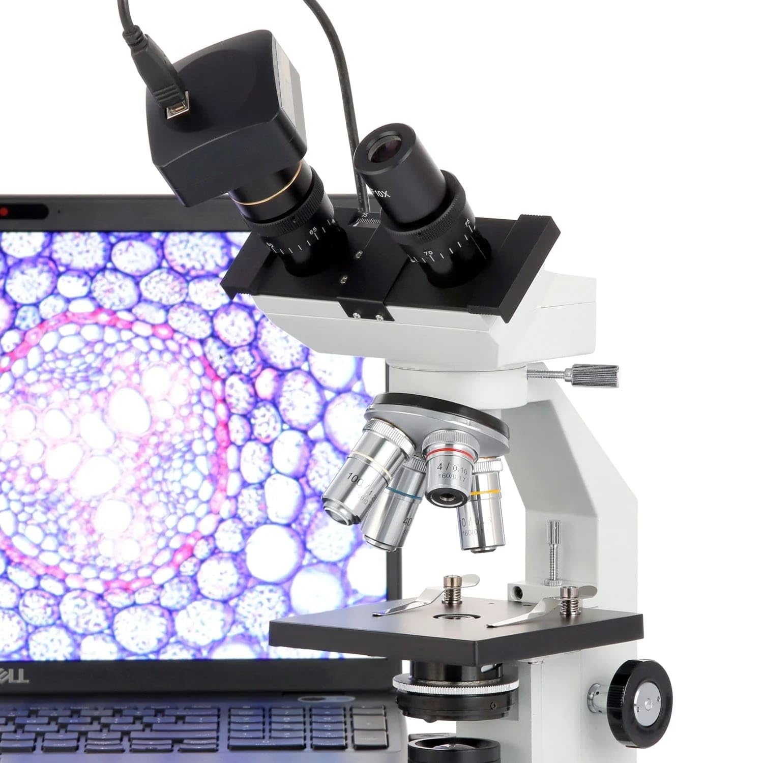 Foto 8 pulgar | Microscopio Binocular Compuesto Amscope B100-led 40x-1000x - Venta Internacional.