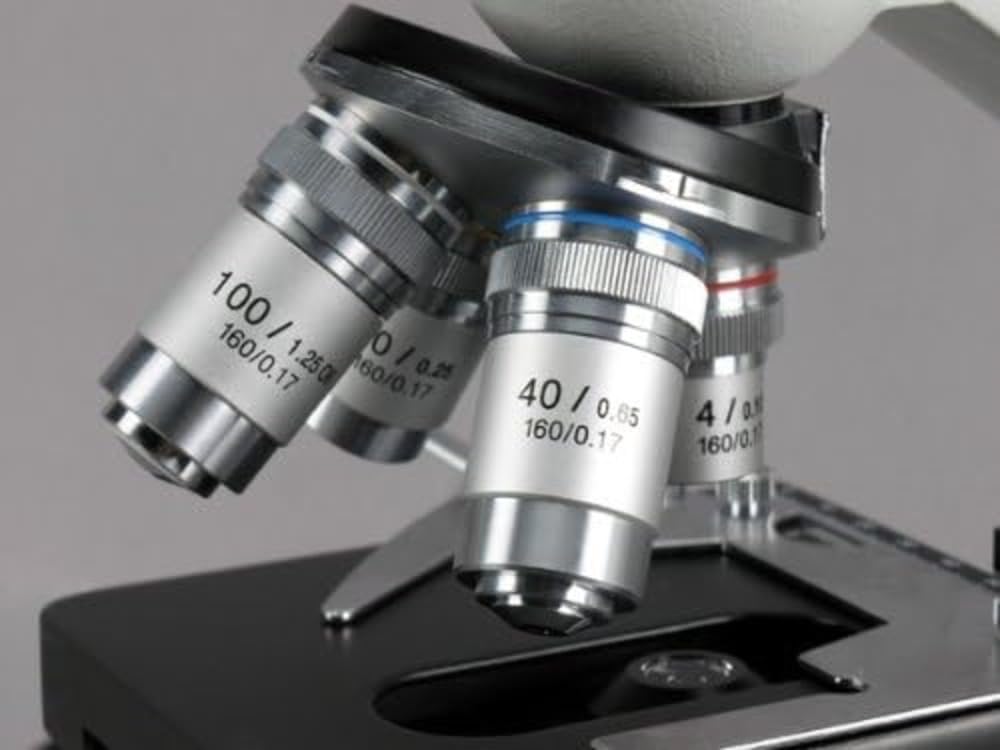 Foto 3 | Microscopio Compuesto Amscope M600-tk50 40x-1000x Con Escenario 3d - Venta Internacional.