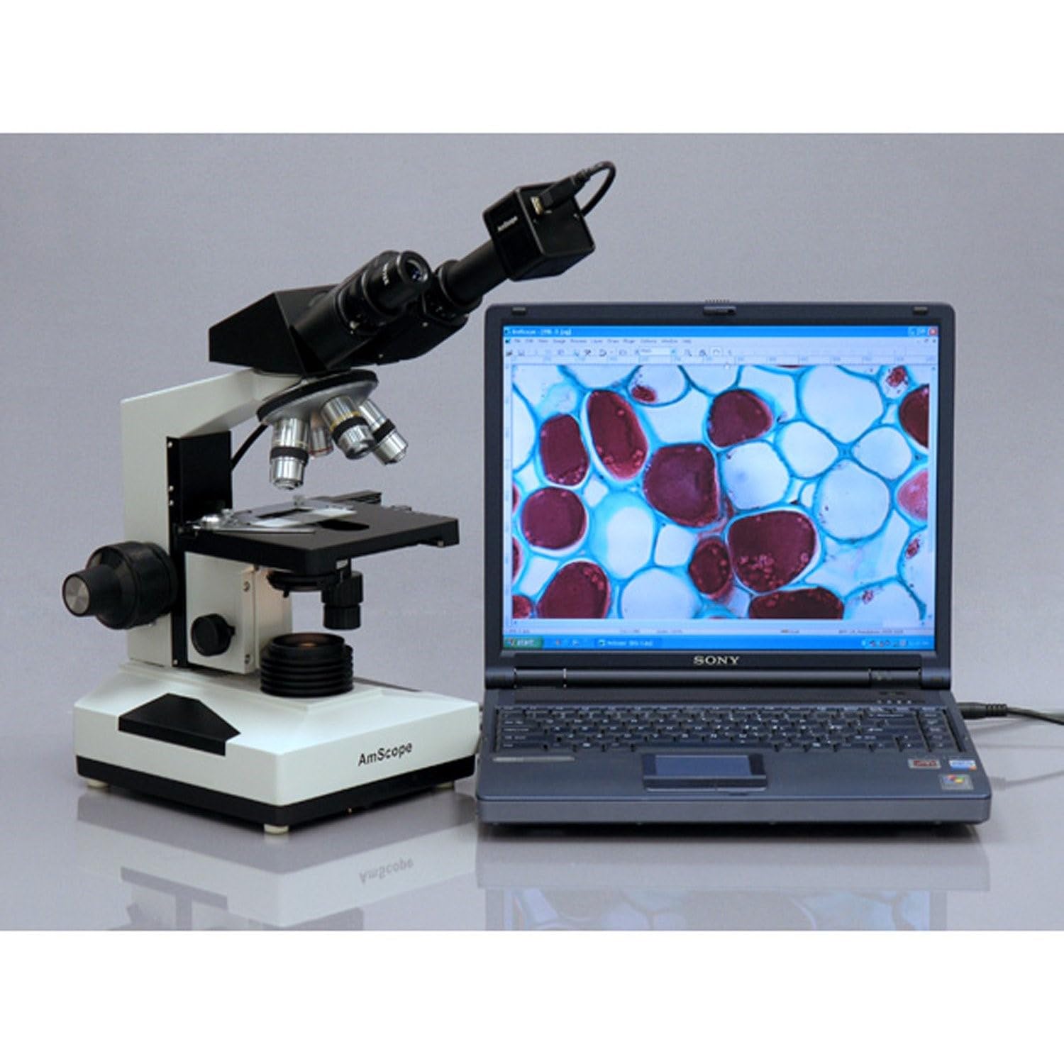 Foto 7 pulgar | Microscopio Binocular Compuesto Amscope B490 40x-1000x - Venta Internacional.