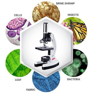 Foto 5 | Microscopio Amscope 120x-1200x Para Principiantes Con Kit Stem De 52 Piezas - Venta Internacional.
