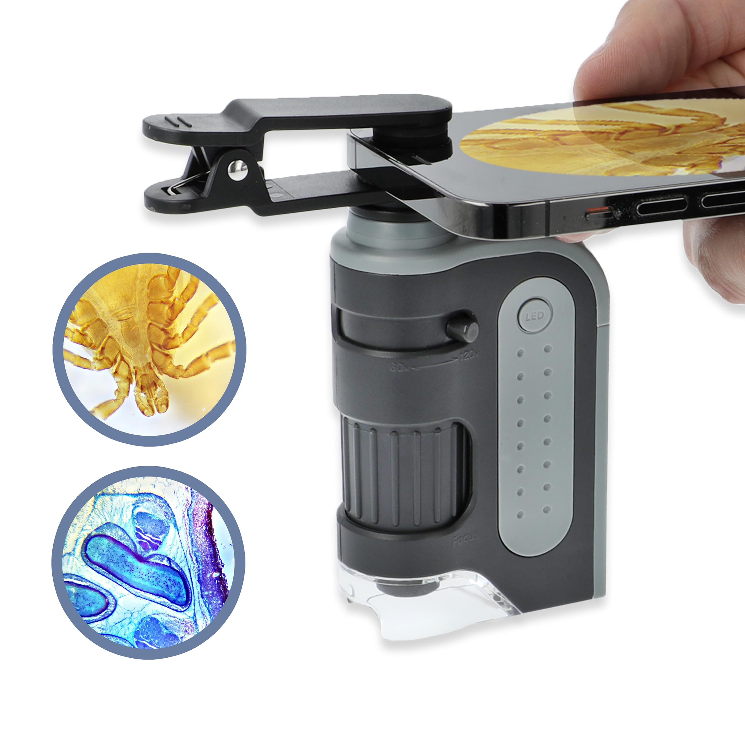 Microscopio Carson Microbrite Microbrite Pro Mm-350 60x-120x - Venta Internacional. $629