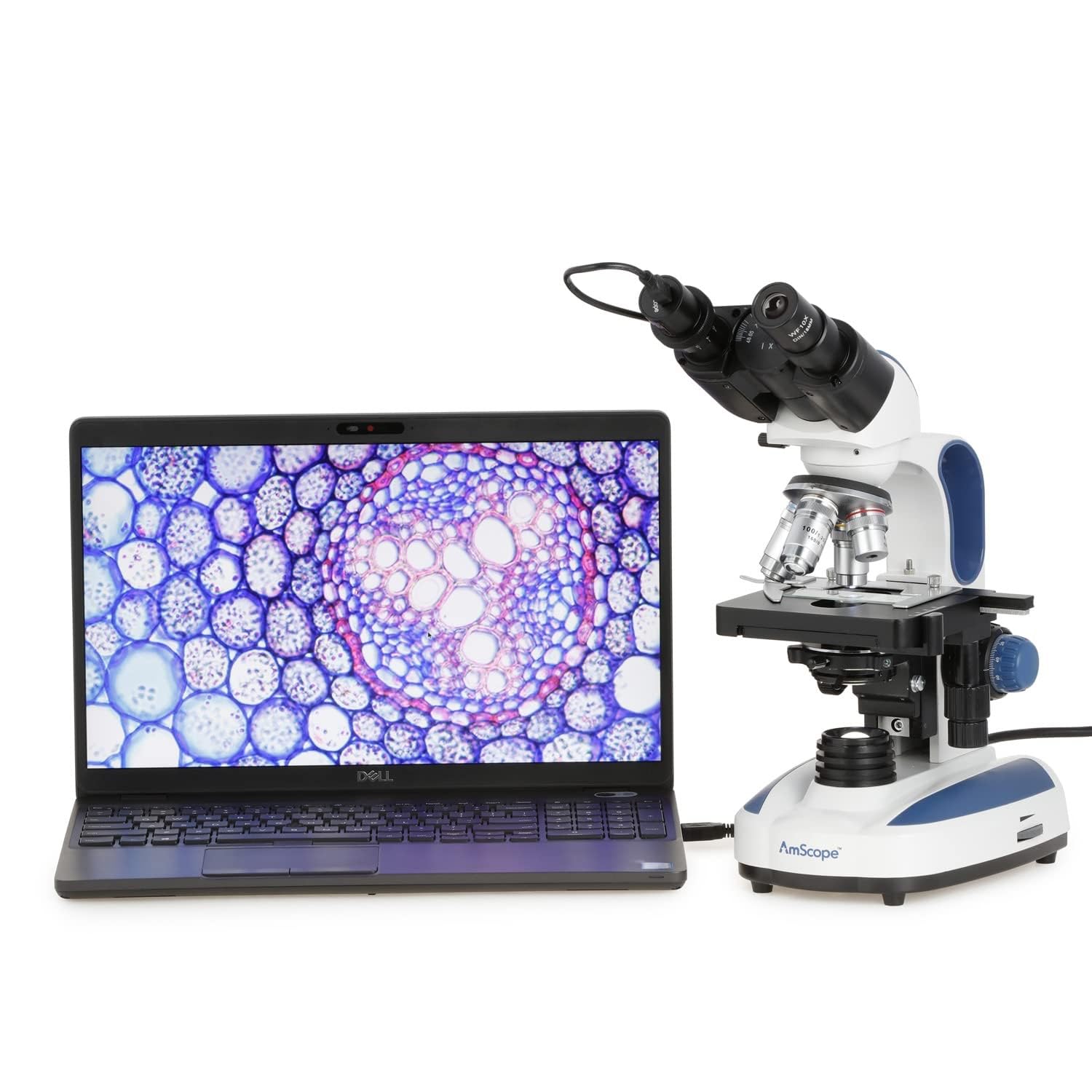 Foto 6 pulgar | Cámara Microscópica Amscope Md300a 3mp Usb 2.0 Color Cmos - Venta Internacional.
